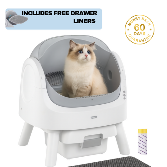 Protect your cat from painful UTIs and messy litter boxes with Purrvana