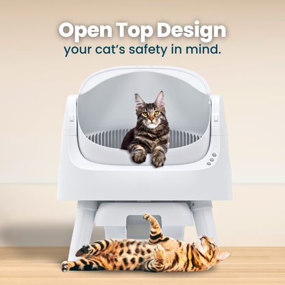 Protect your cat from painful UTIs and messy litter boxes with Purrvana
