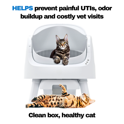 Protect your cat from painful UTIs and messy litter boxes with Purrvana